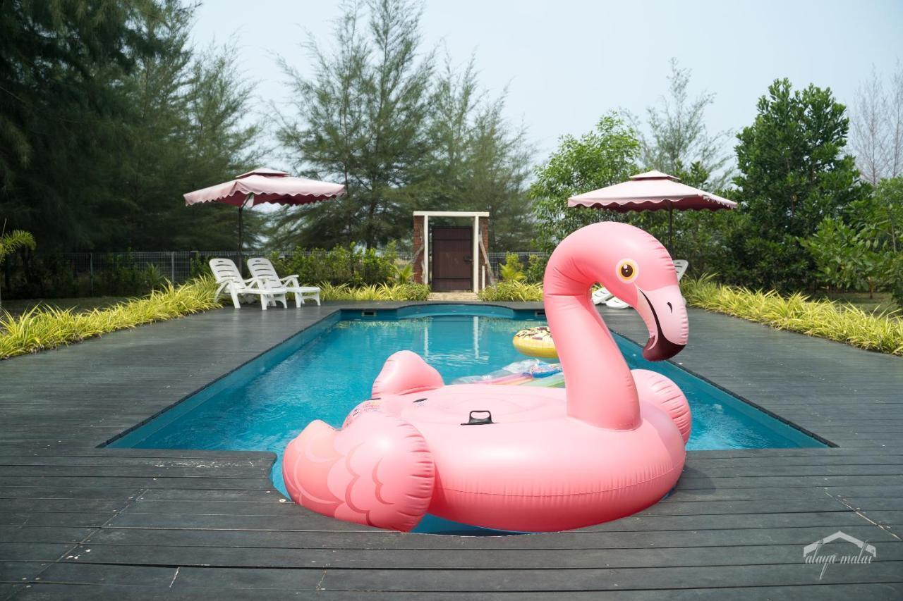 Alaya Malai Boutique B&B 세티우 외부 사진